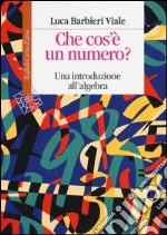 Che cos'è un numero. Un'introduzione all'algebra libro