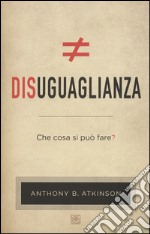 Disuguaglianza. Che cosa si può fare? libro