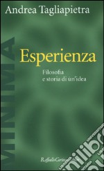 Esperienza. Filosofia e storia di un'idea libro