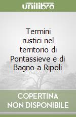 Termini rustici nel territorio di Pontassieve e di Bagno a Ripoli