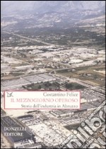 Il Mezzogiorno operoso. Storia dell'industria in Abruzzo libro