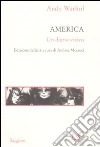 America. Un diario visivo. Ediz. illustrata libro