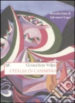 L'Italia in cammino libro