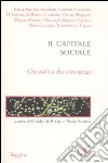 Il capitale sociale. Che cos'è e che cosa spiega libro