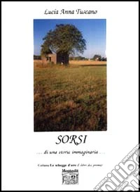 Sorsi... di una storia immaginaria libro