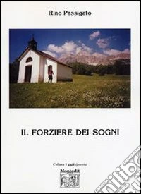 Il forziere dei sogni libro