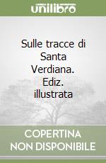 Sulle tracce di Santa Verdiana. Ediz. illustrata