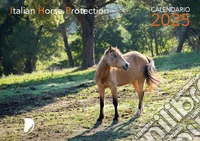 La luce dell'anima. Calendario 2025 libro
