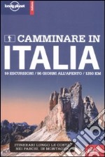 Camminare in Italia libro