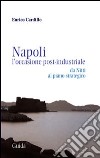 Napoli. L'occasione post-industriale. Da Nitti al piano strategico libro