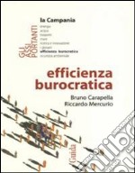 Efficienza burocratica libro