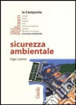 Sicurezza ambientale libro