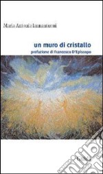 Un muro di cristallo libro