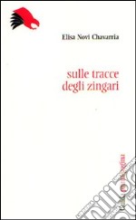 Sulle tracce degli zingari libro