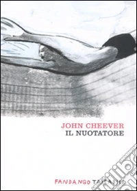 Il nuotatore