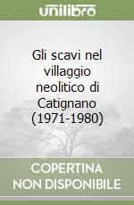 Gli scavi nel villaggio neolitico di Catignano (1971-1980)