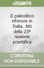 Il paleolitico inferiore in Italia. Atti della 23ª riunione scientifica libro