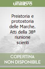 Preistoria e protostoria delle Marche. Atti della 38ª riunione scienti libro