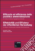 Efficacia ed efficienza della pubblica amministrazione. Un modo per realizzare l'eguaglianza sostanziale libro