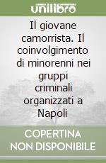 Il giovane camorrista. Il coinvolgimento di minorenni nei gruppi criminali organizzati a Napoli libro