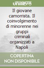 Il giovane camorrista. Il coinvolgimento di minorenne nei gruppi criminali organizzati a Napoli libro