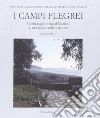 I Campi Flegrei. Monitoraggio e riqualificazione di una fascia costiera italiana libro di Rossi Adriana