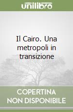 Il Cairo. Una metropoli in transizione