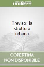 Treviso: la struttura urbana