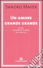 Un amore grande grande ovvero matrimonio d'amore alla spagnola libro