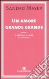 Un amore grande grande ovvero matrimonio d'amore alla spagnola libro