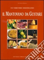 Il mantovano da gustare. Un territorio meraviglioso libro