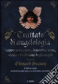 Trattato di angelologia. Rappresentazione, denominazione, storia e tradizione degli angeli libro