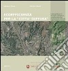 Ecoefficienza per la «città diffusa». Linee guida per il recupero energetico e ambientale degli insediamenti informali nella periferia romana libro