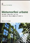 Metamorfosi urbane. Politiche culturali in Francia e mutamenti nel paradigma urbanistico libro