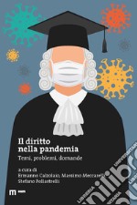 Il diritto nella pandemia. Temi, problemi, domande libro