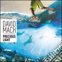 David Mach. Precious light. Ediz. multilingue