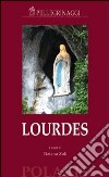 Lourdes libro di Zoli Tiziano