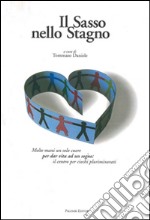 Il sasso nello stagno libro