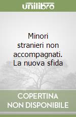 Minori stranieri non accompagnati. La nuova sfida libro