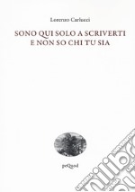 Sono qui solo a scriverti e non so chi tu sia libro