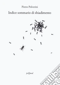 Indice sommario di sbiadimento libro