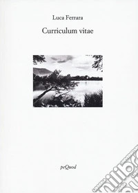Curriculum vitae
