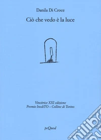 Ciò che vedo è la luce