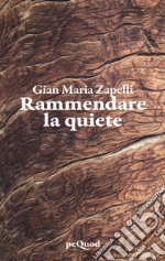 Rammendare la quiete libro