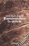 Rammendare la quiete libro di Zapelli Gian Maria