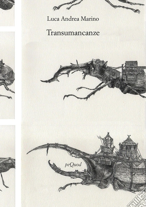 Transumancanze
