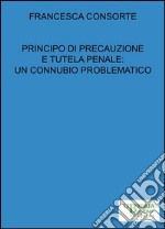 Principio di precauzione e tutela penale. Un connubio problematico