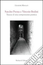 Sandro Penna e Vittorio Bodini. Tracce di una compresenza poetica libro