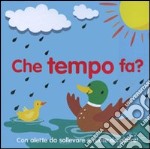 Che tempo fa? libro