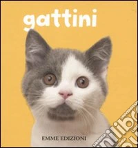 Gattini libro